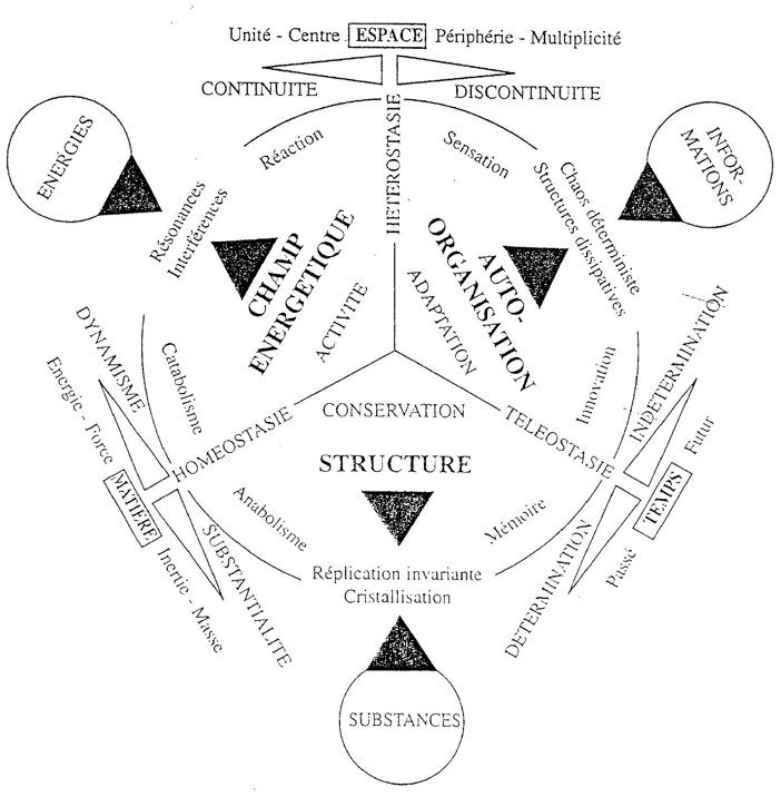 LE MODELE D’INTEGRATION FONCTIONNELLE DES SYSTEMES OUVERTS