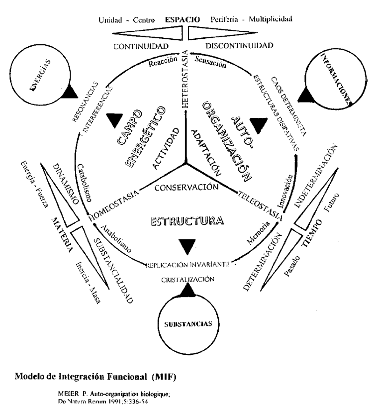 Modelo de integración funcional